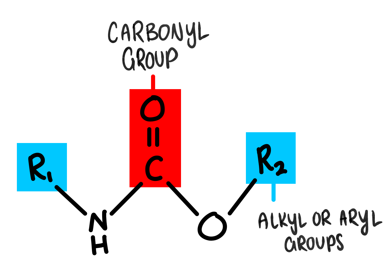 Carbonyl Group Carbonyl Group